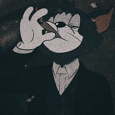 stoperlie's profile picture