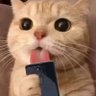sensir_huan 的头像