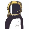 the.astronaut_penguin profil fotoğrafı