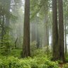 Фото профиля Misty Wood