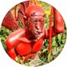 El Naufrabot's profile picture