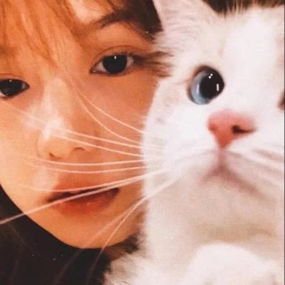 hhsboringlife's profile picture