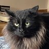 Profilbild von Dori