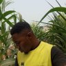 Farmercist Gabriel🍅🍉🌶️🫑🥒🥦🧅🥬🌽🥕 profil fotoğrafı