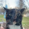 Profilbild von Shelby Sue