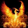 Parker's profile picture