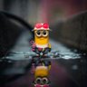 DeFiMinions's profile picture