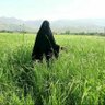sahabat yatim hafidzah's profile picture