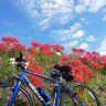 もりあきお profil fotoğrafı