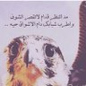 S.Basha🇸🇦's profile picture