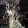 yPwZ profil fotoğrafı