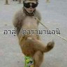Фото профиля มัม