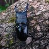 Фото профиля たちばな