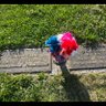 Ctee's profile picture