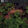 the bush luann fell in's profile picture