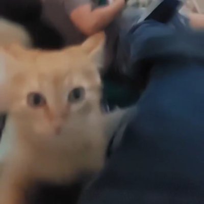 OneeSike's profile picture