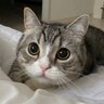 いっちゃん's profile picture