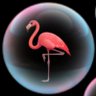 Flamingeaux 🦩 profil fotoğrafı