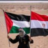 Profilbild von 🕊أمير في أرض الله