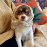 Big Pippa's profile picture