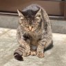 Profilbild von そのぞな