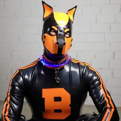 Boarhound's profile picture