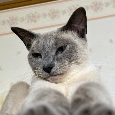 ugstr1125's profile picture