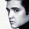 Tony Pacati's profile picture