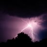 Desi Programmer 的头像