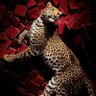 Profilbild von 🐆