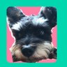 q___00p__ キューピー profil fotoğrafı