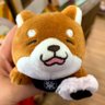 あっちん's profile picture
