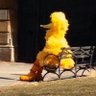 Signor Ritti's profile picture