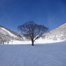 Фото профиля だいすけ
