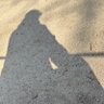 tomagen profil fotoğrafı