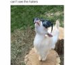 Judge's profile picture