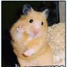 Profilbild von Cristian