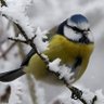 Konstantin X profil fotoğrafı