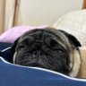 Profilbild von 三