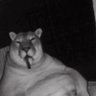 monsta profil fotoğrafı