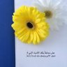 أم عمر | Om omar's profile picture