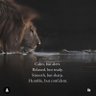 Rahul_Patel 的头像