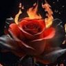 ⛔השואהهوولكس profil fotoğrafı