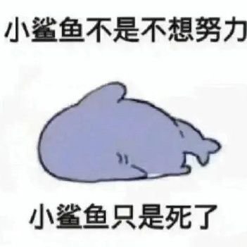 姓名就要为空's profile picture