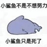 姓名就要为空's profile picture