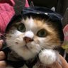 ちろみ 的头像
