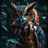 Billion$$$💰💵🦉 profil fotoğrafı