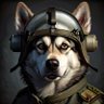 Profilbild von Husky