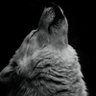 Adagio profil fotoğrafı