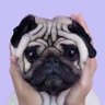 Schatzโค๏ธ's profile picture